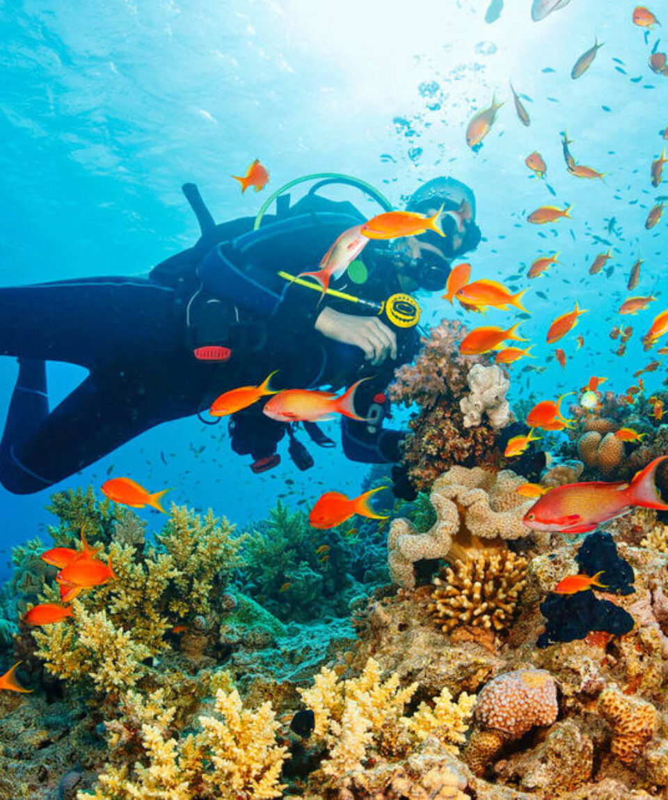 Scuba diving Andamans