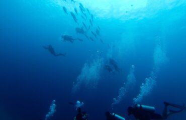 Islands Scuba diving