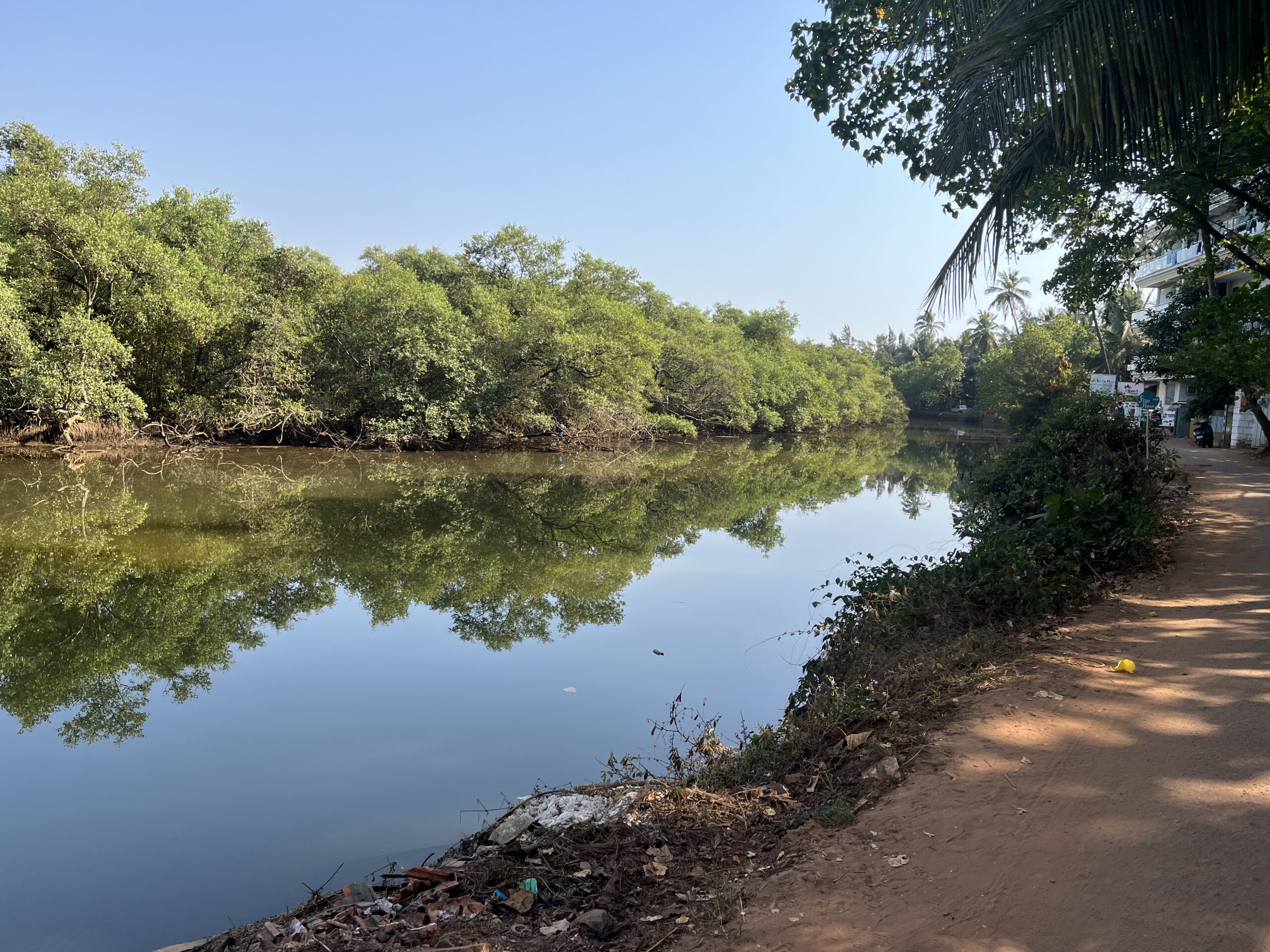 Backwaters Free Flow Escape Stay Goa