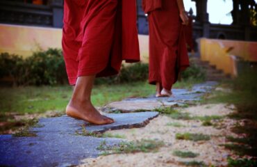 pexels-sadaham-yathra-776291