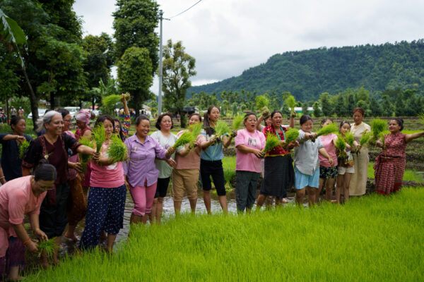 Kalimpong – A Paddy Planting Festival Tour