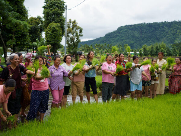 Kalimpong – A Paddy Planting Festival Tour