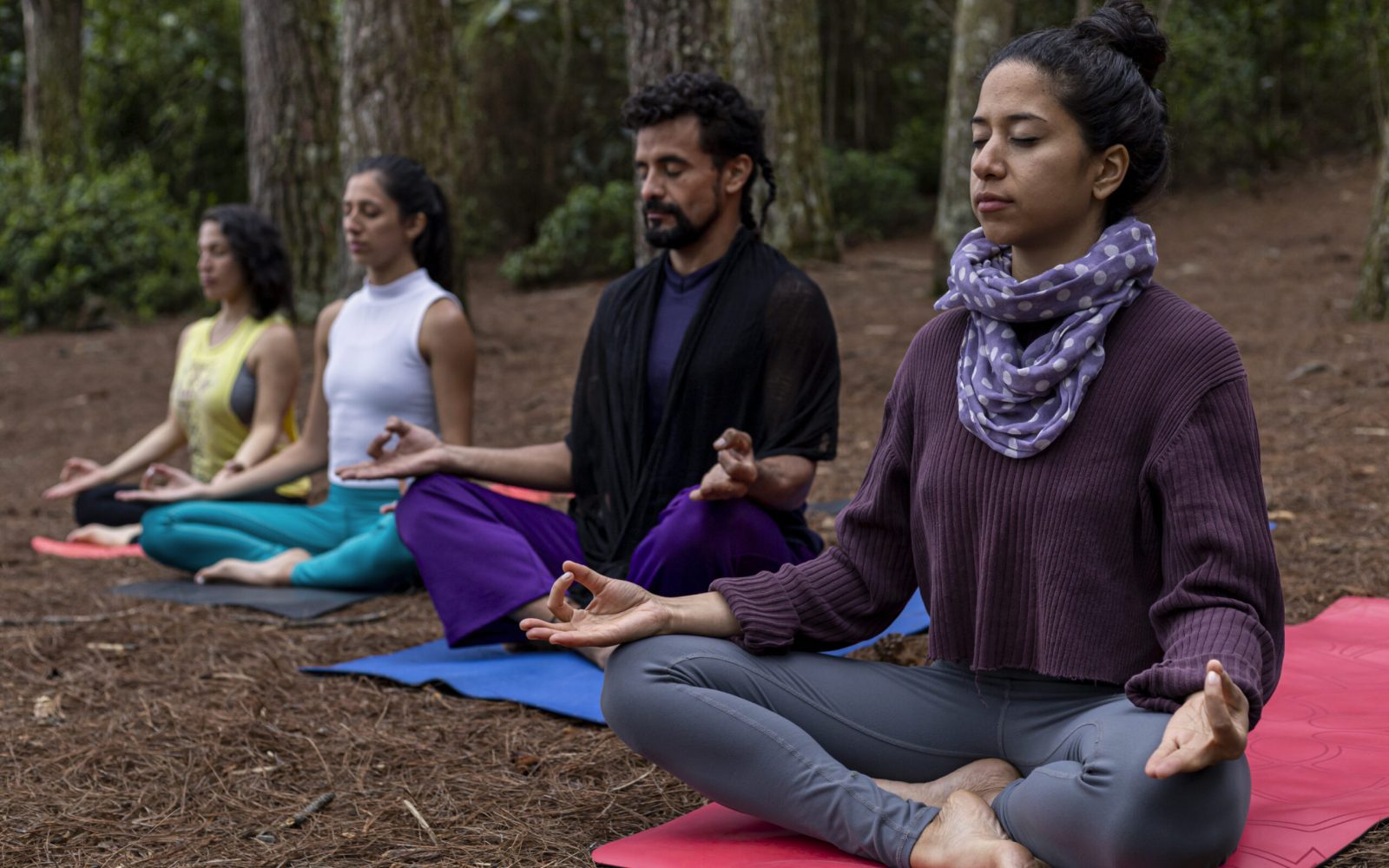 A group of young Latin Americans meditate on their yoga practice outdoors in a pine forest. Yoga and wellness class concept